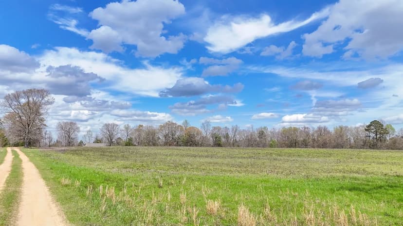 6.5 +/- Acres in the Friendship Community of Elmore County, AL