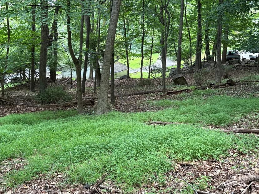 Lots & Land-Other in Blauvelt