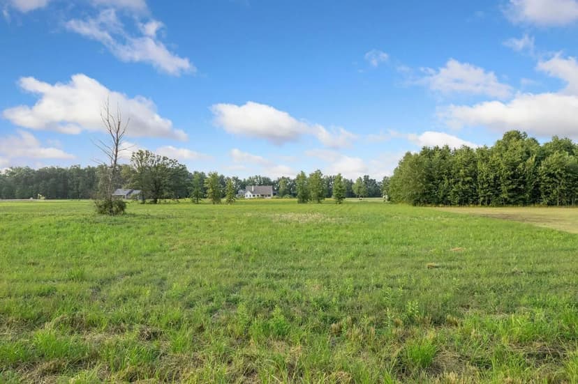 Vacant Land in Sterling Twp
