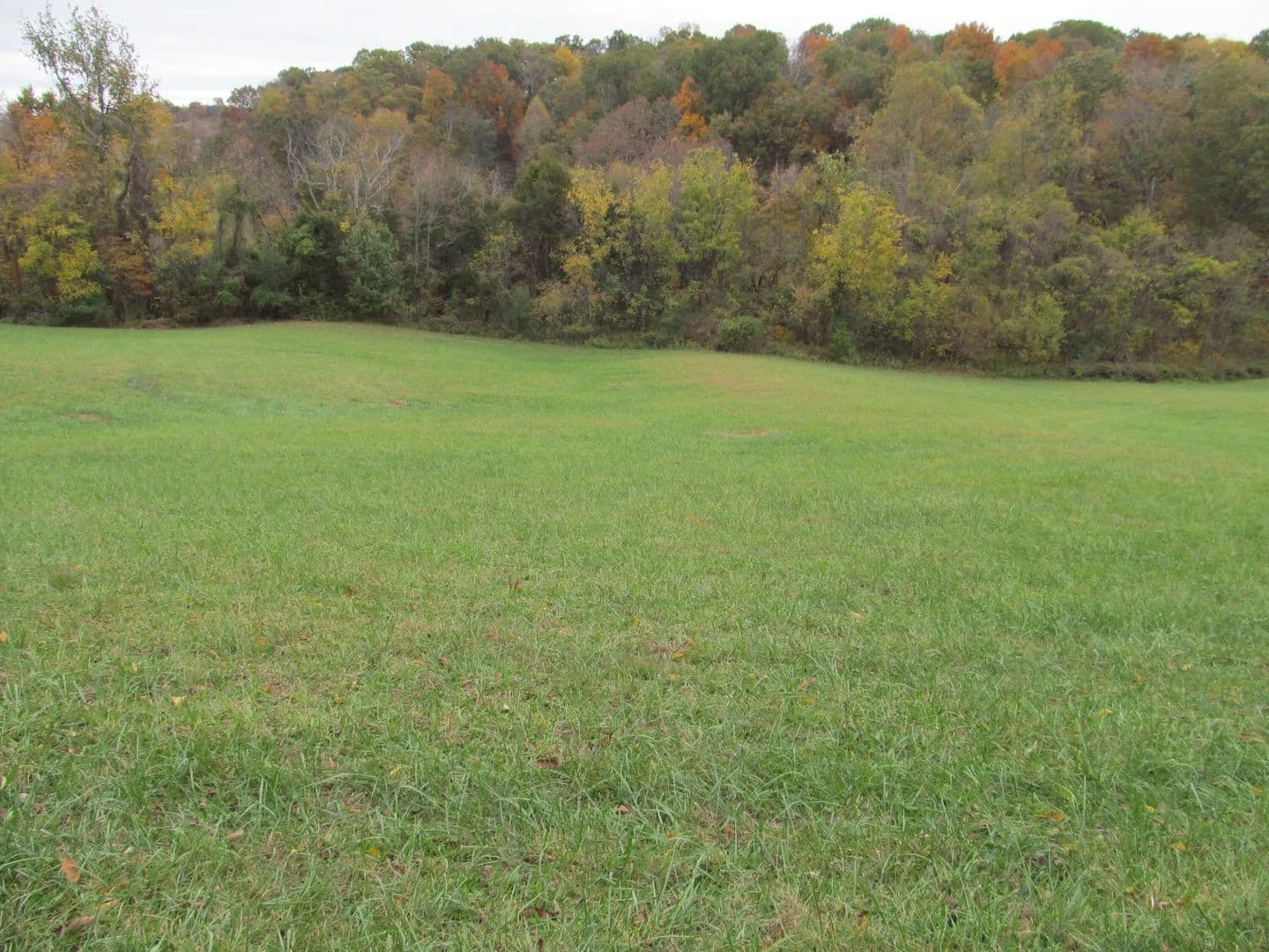 Vacant Land in Gray - Gray, Tennessee, 37615