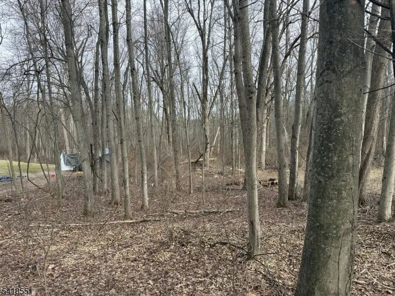 10.04 Acres of Land for Sale in Knowlton Twp., NJ - New Jersey, 07832