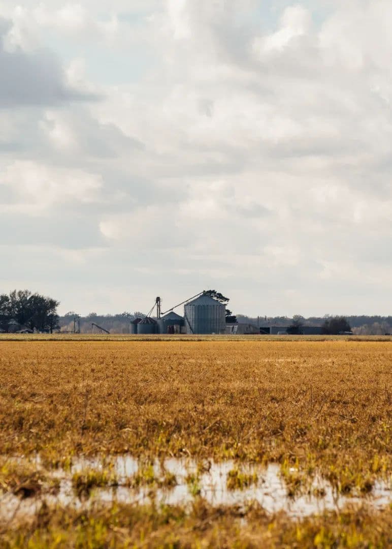 896.81 Acre Farm with a Home in Monroe County, AR 