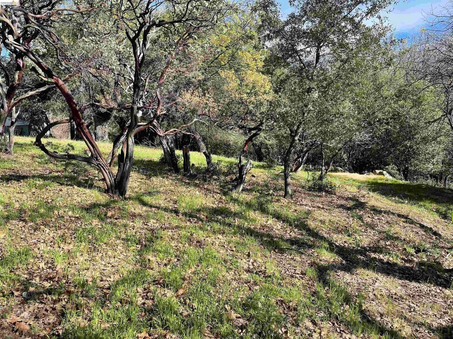 Lots & Land-Other in Sonora - Sonora, California, 95370