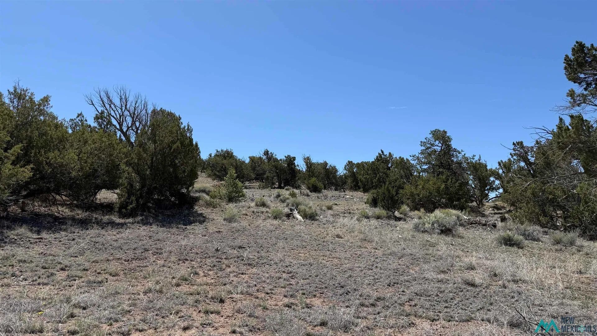 Property from TBD Pima Drive Road - KW - Quemado, New Mexico, 87829