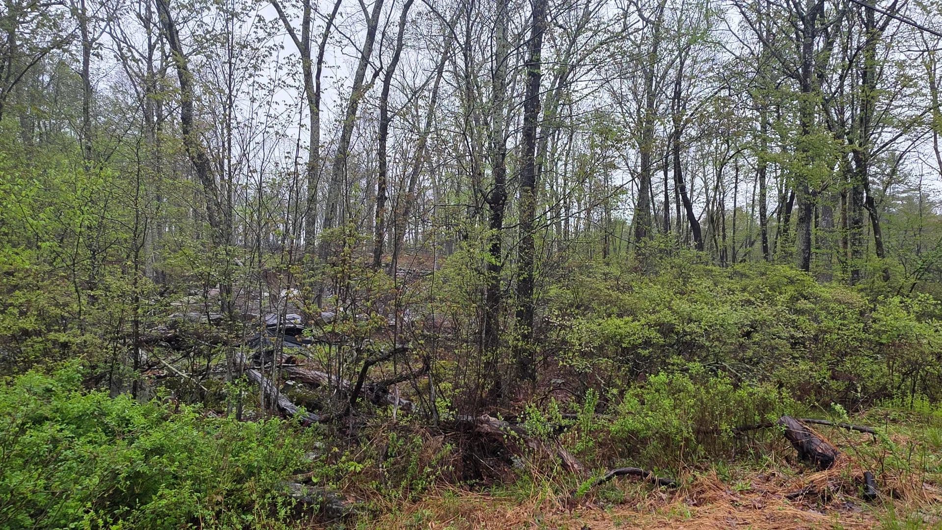 Vacant Land in Hawley - Hawley, Pennsylvania, 18428