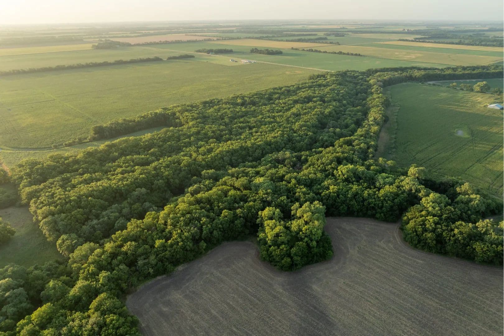 West Emma Creek Trophy Timber - Halstead, Kansas, 67056