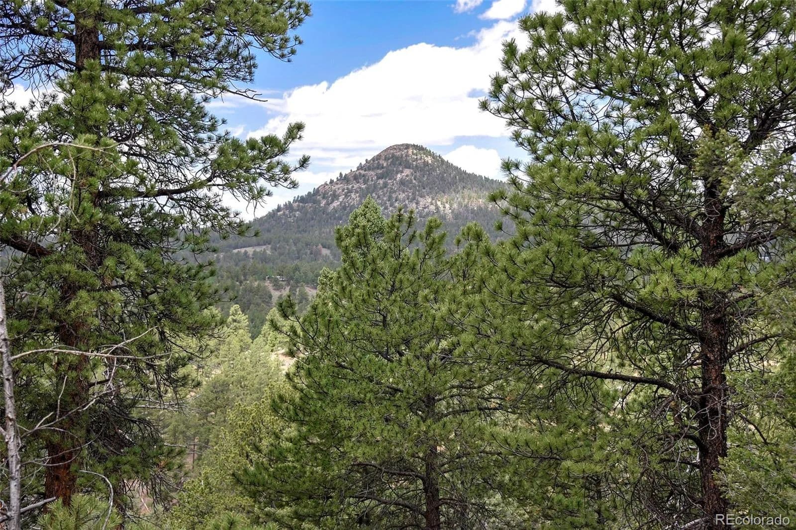 4.13 Acres of Land for Sale in Florissant, CO - Florissant, Colorado, 80816