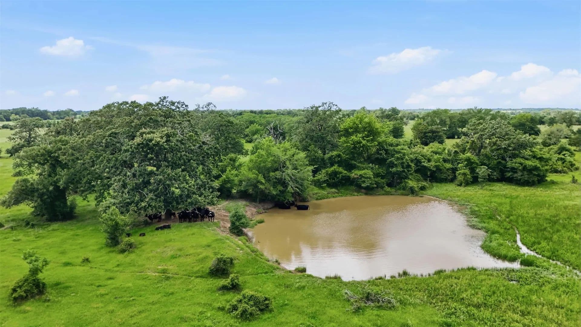 13.99 Acres of Land for Sale in Franklin, TX - Franklin, Texas, 77856