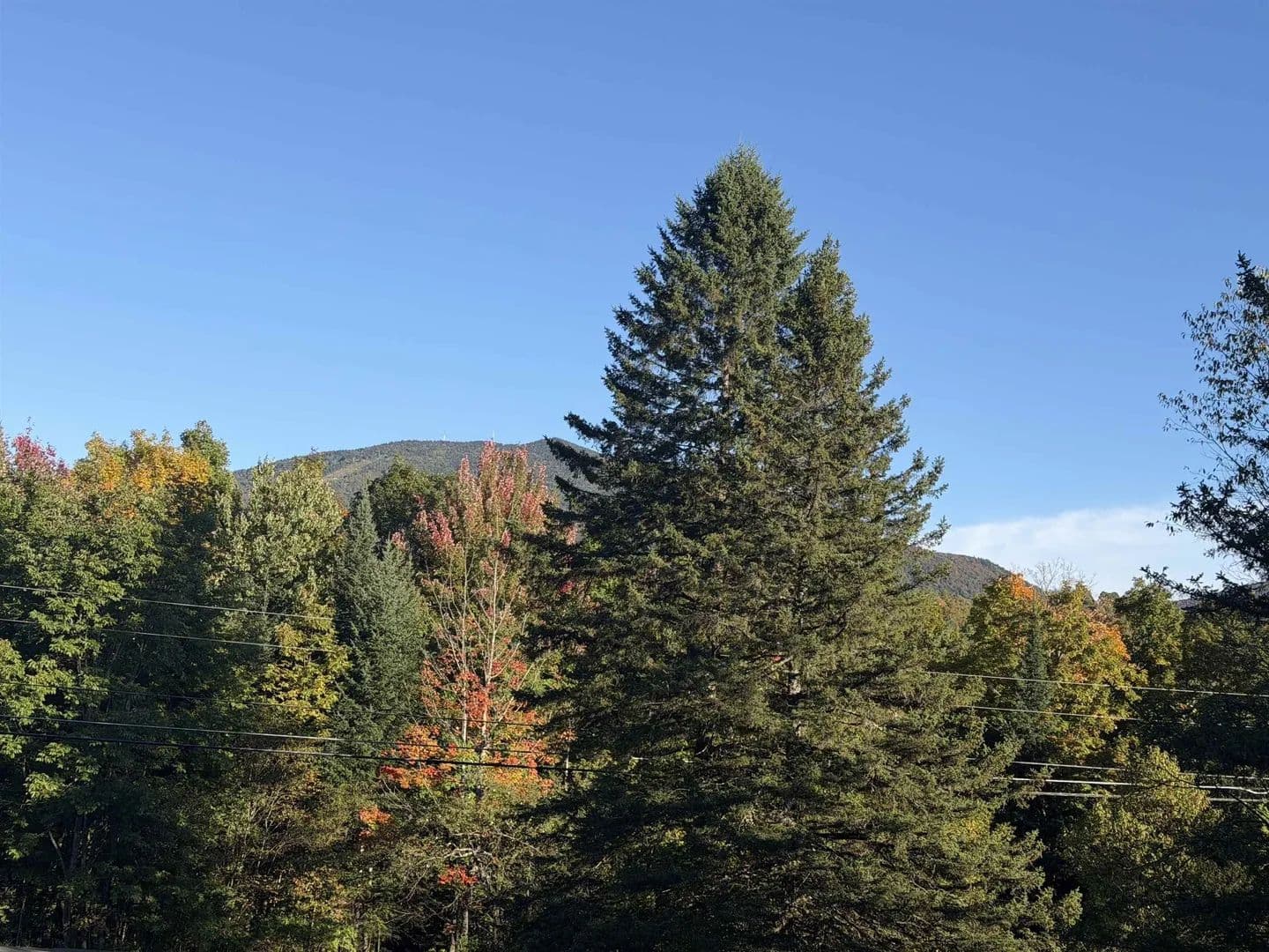 Lots & Land-Other in Burke - Burke, Vermont, 058329751
