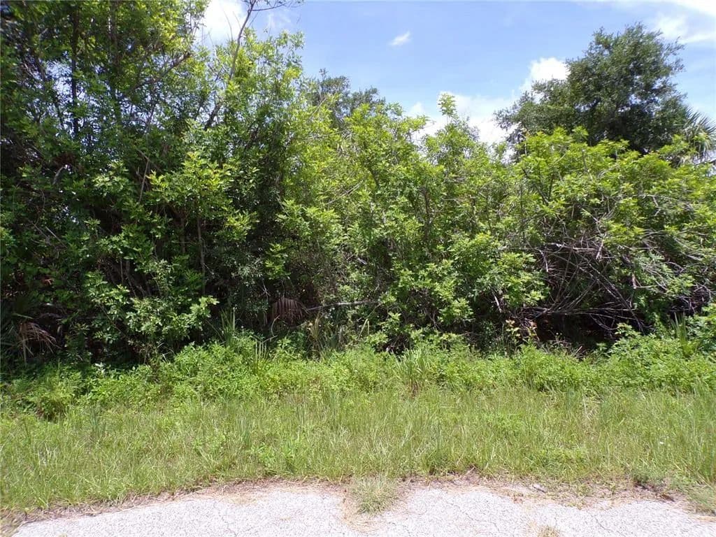 Vacant Land in Port Charlotte - Port Charlotte, Florida, 33981