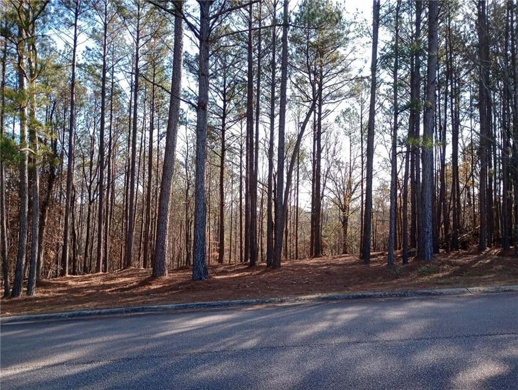 3.14 Acres of Land for Sale in Franklin, Georgia - Franklin, Georgia, 30127
