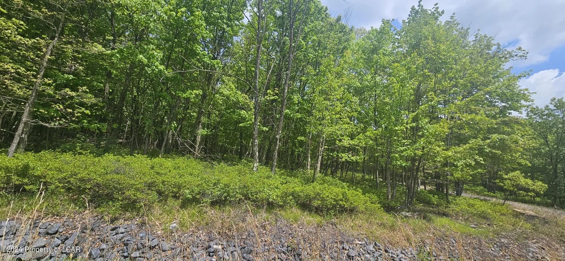 Lots & Land-Other in Hazle Twp - Pennsylvania, 18202