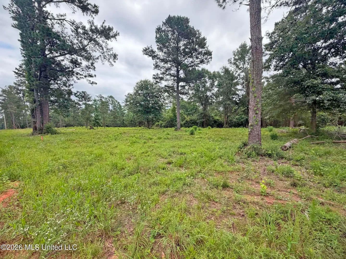 Property from Parcel 2 N Old 63 N Highway - KW - Lucedale, Mississippi, 39452