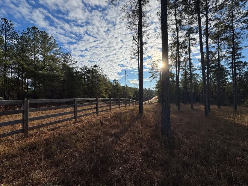 39 +/- Acres in Lee County, AL