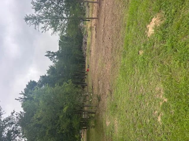 0.4 Acres of Land for Sale in Calvert, TX - Calvert, Texas, 77837