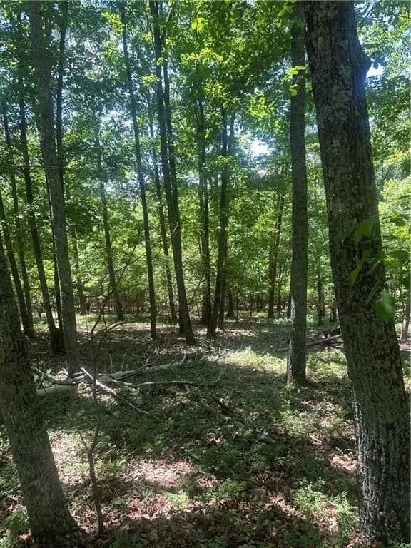 Lots & Land-Other in Jasper - Jasper, Georgia, 30143