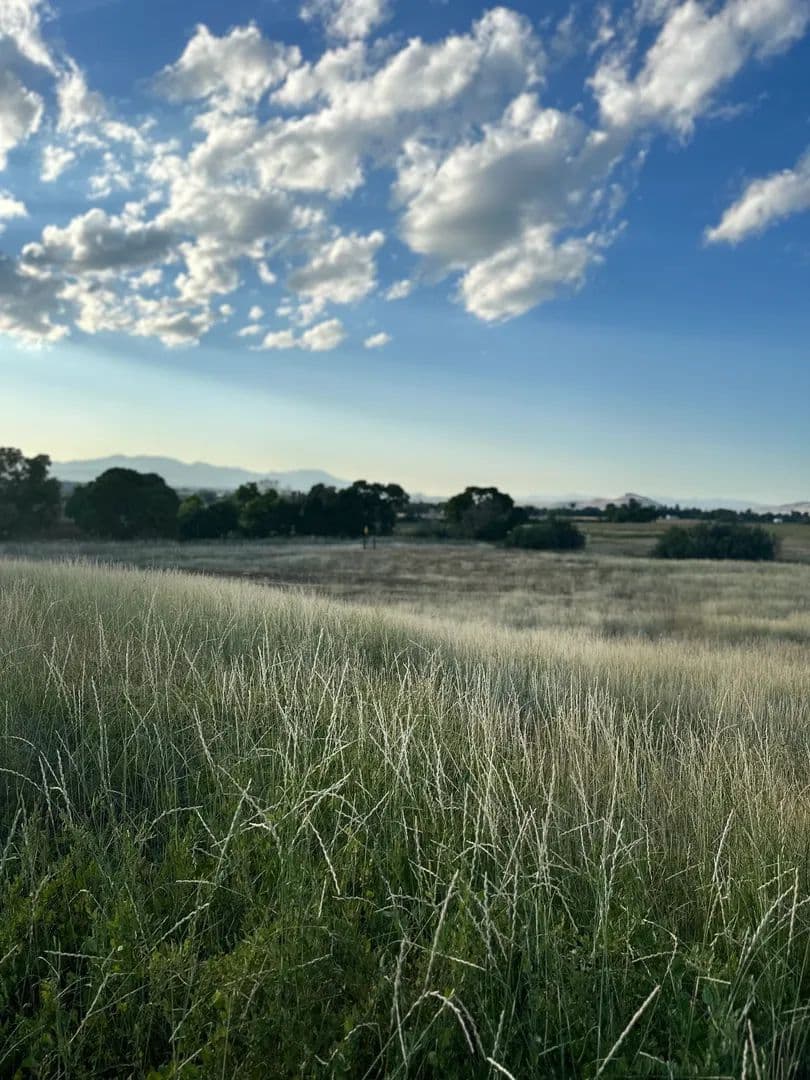 Land -Single Family Acreage in Richmond