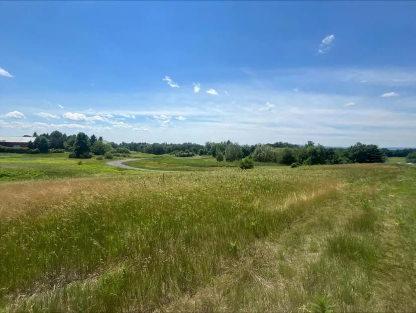 Land -Industrial in Albany