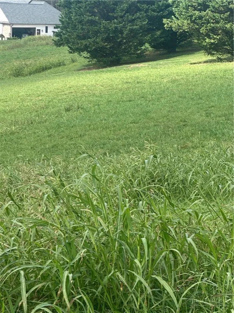 Vacant Land in North Wilkesboro - North Wilkesboro, North Carolina, 28659
