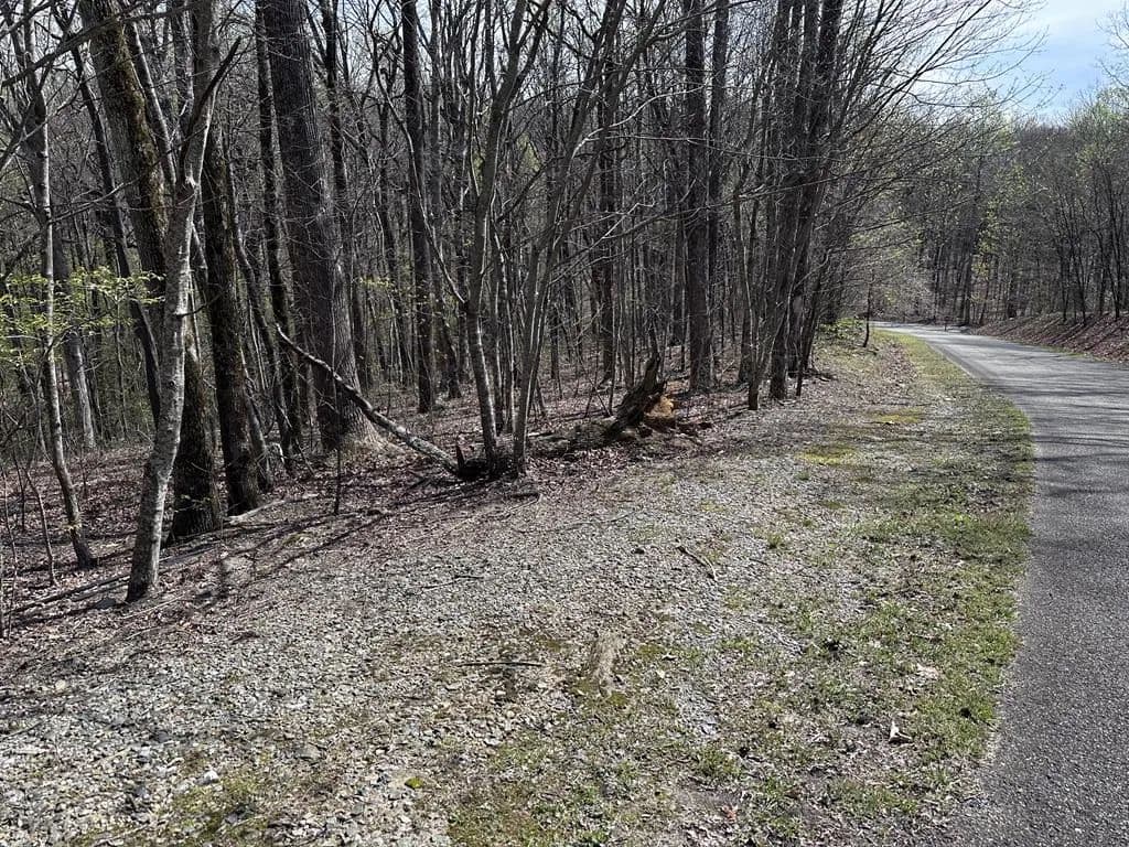 3.74 Acres of Land for Sale in Ellijay, GA - Ellijay, Georgia, 30536