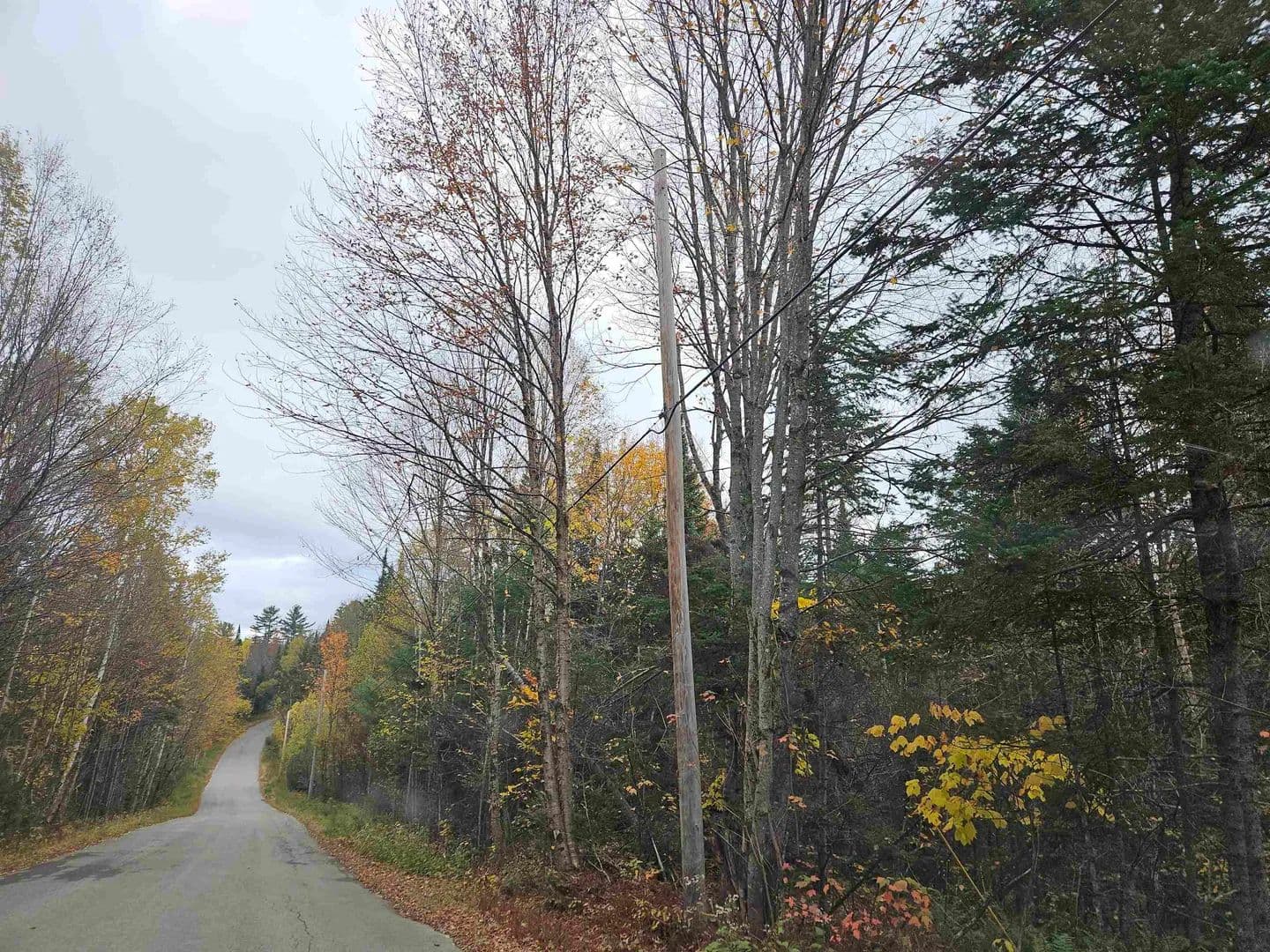 Vacant Land in Sugar Hill - Sugar Hill, New Hampshire, 03586