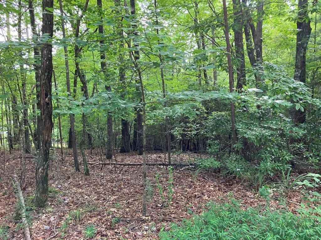 Lots & Land-Other in Murphy - Murphy, North Carolina, 28906