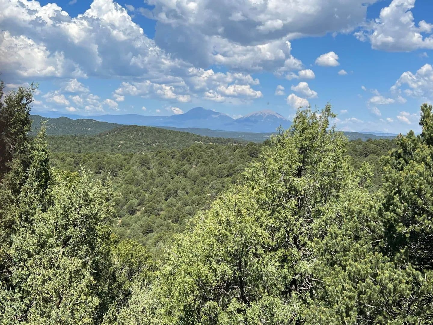 Lot 4 Peacock Rd, Trinidad, CO 81082 - Trinidad, Colorado, 81082