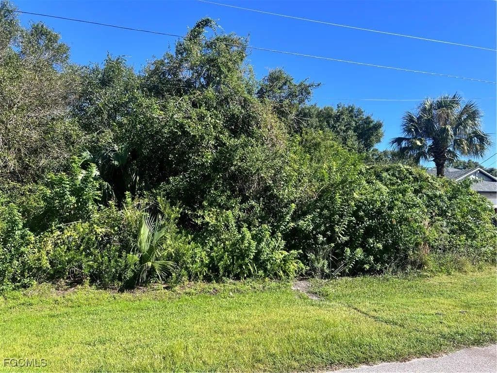 Vacant Land in Fort Myers - Fort Myers, Florida, 33905