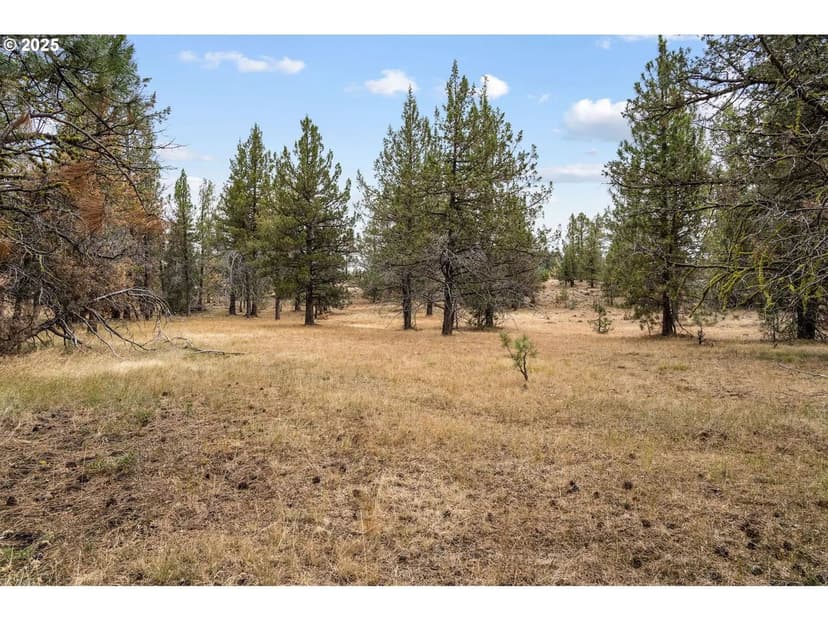 Vacant Land in Paulina