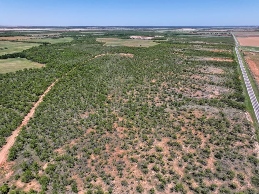 10.01+/- Acres, TBD FM 1812, Hawley (Tract 10)