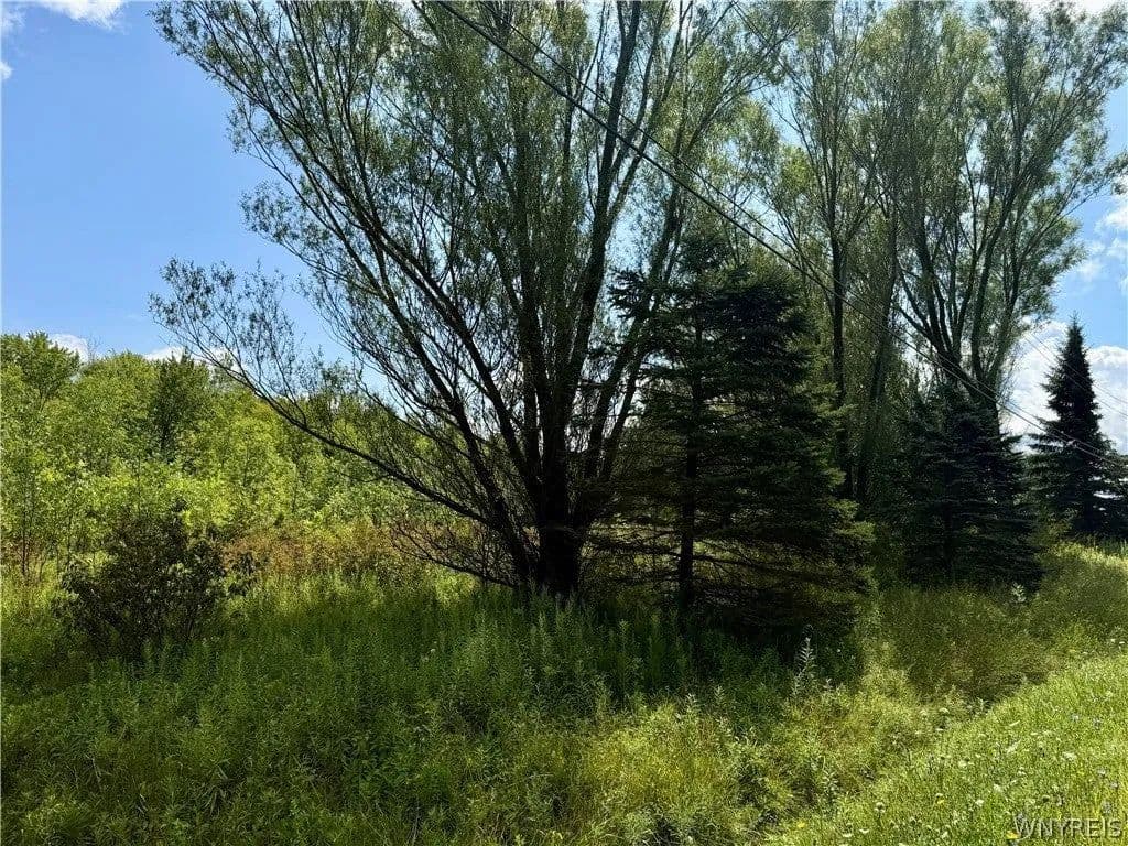 Lots & Land-Other in Eden - Eden, New York, 14057