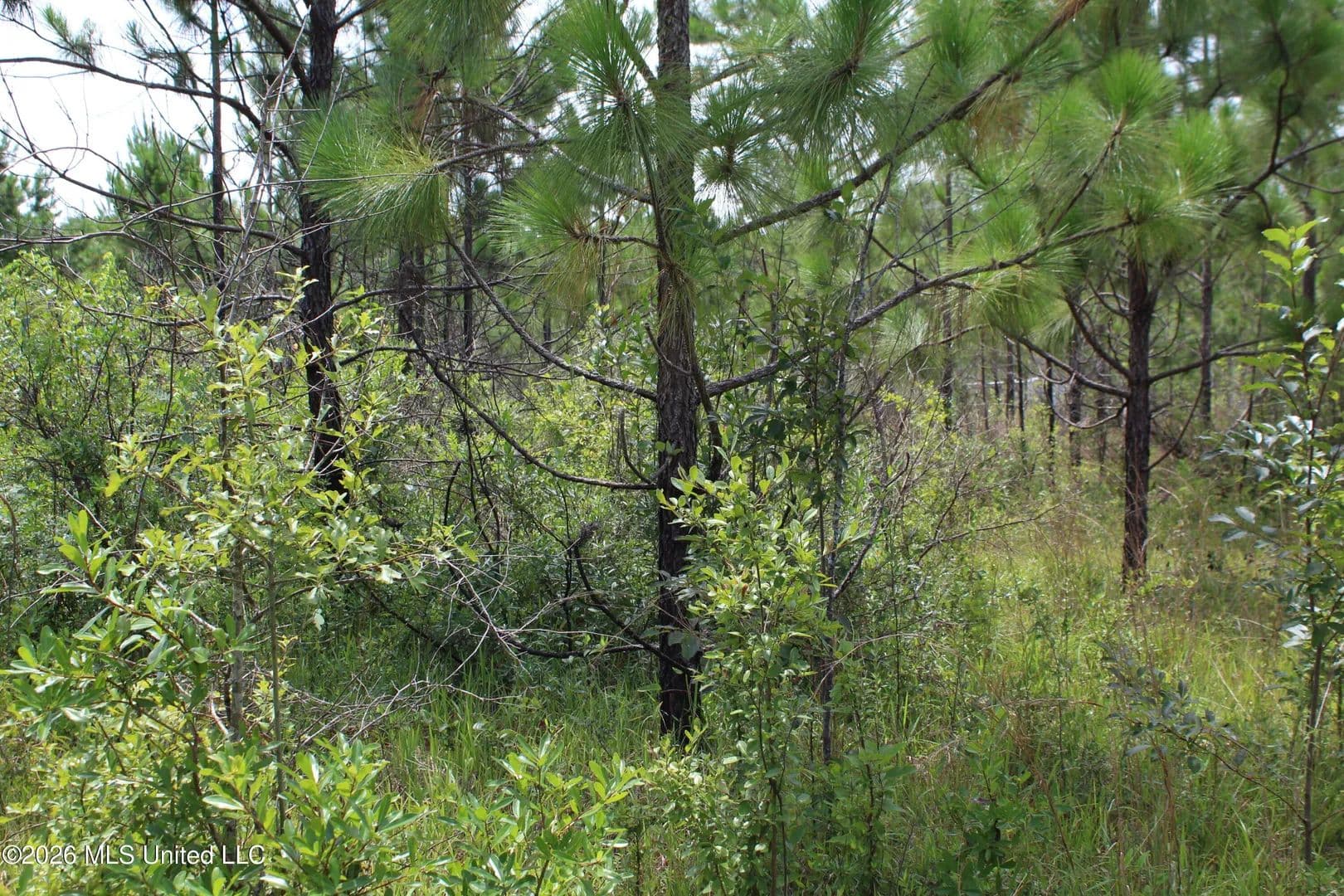 Lots & Land-Other in Lucedale - Lucedale, Mississippi, 39452