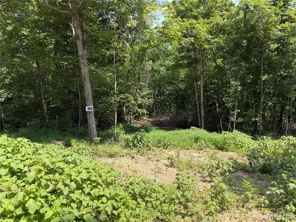 Lots & Land-Other in Fredericktown - Fredericktown, Missouri, 63645