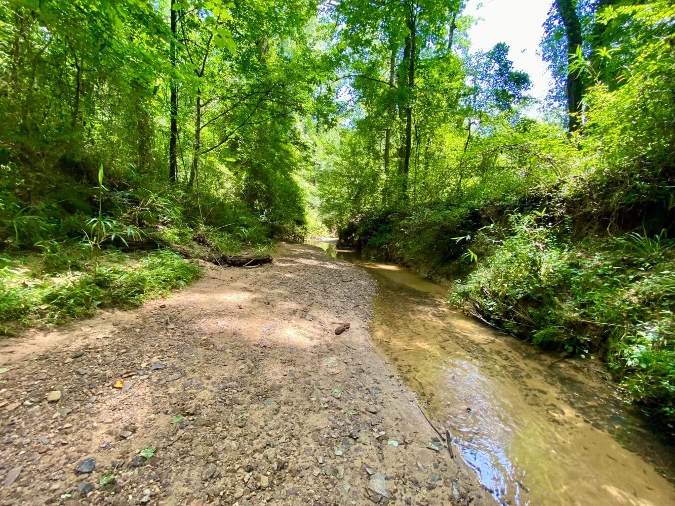 Northside: Dry Branch Creek - Hunting, Timber & Home Site Tract - Northport, Alabama, 35475