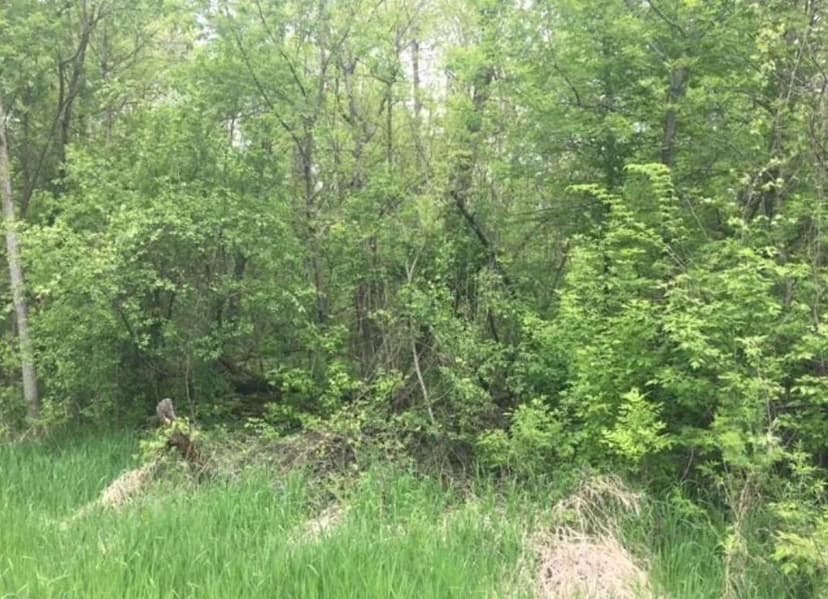 Property from 7236 N Shore Trail - KW