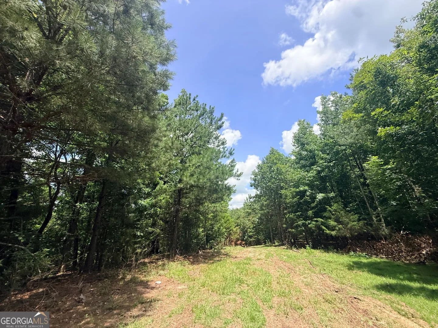 22.52 Acres of Land for Sale in Elberton, GA - Elberton, Georgia, 30635