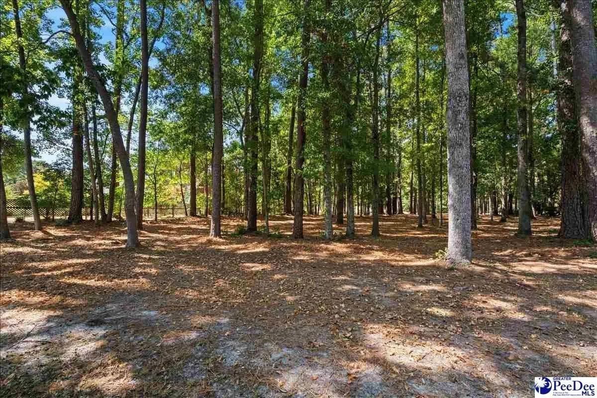 Lots & Land-Other in Florence - Florence, South Carolina, 29506