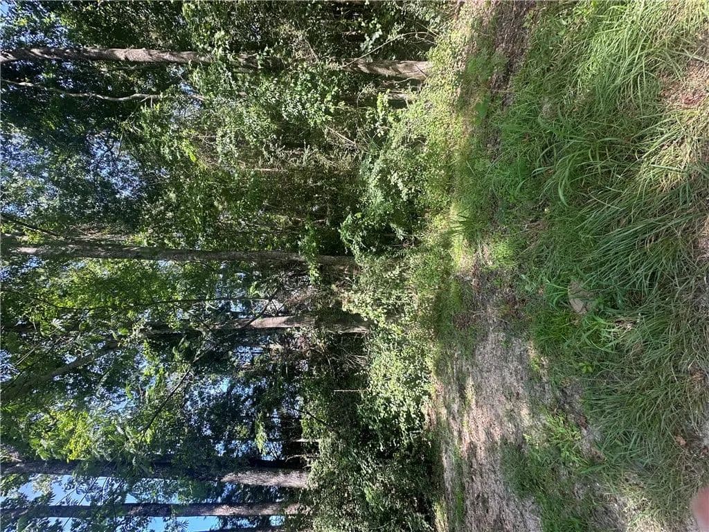 Vacant Land in Notasulga - Notasulga, Alabama, 36866