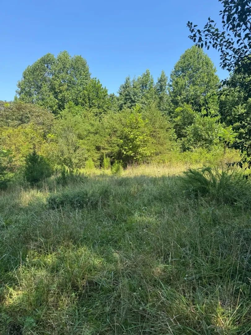 5.06+/-acres Unrestricted wooded tract located in Sequatchie TN. - Sequatchie, Tennessee, 37374