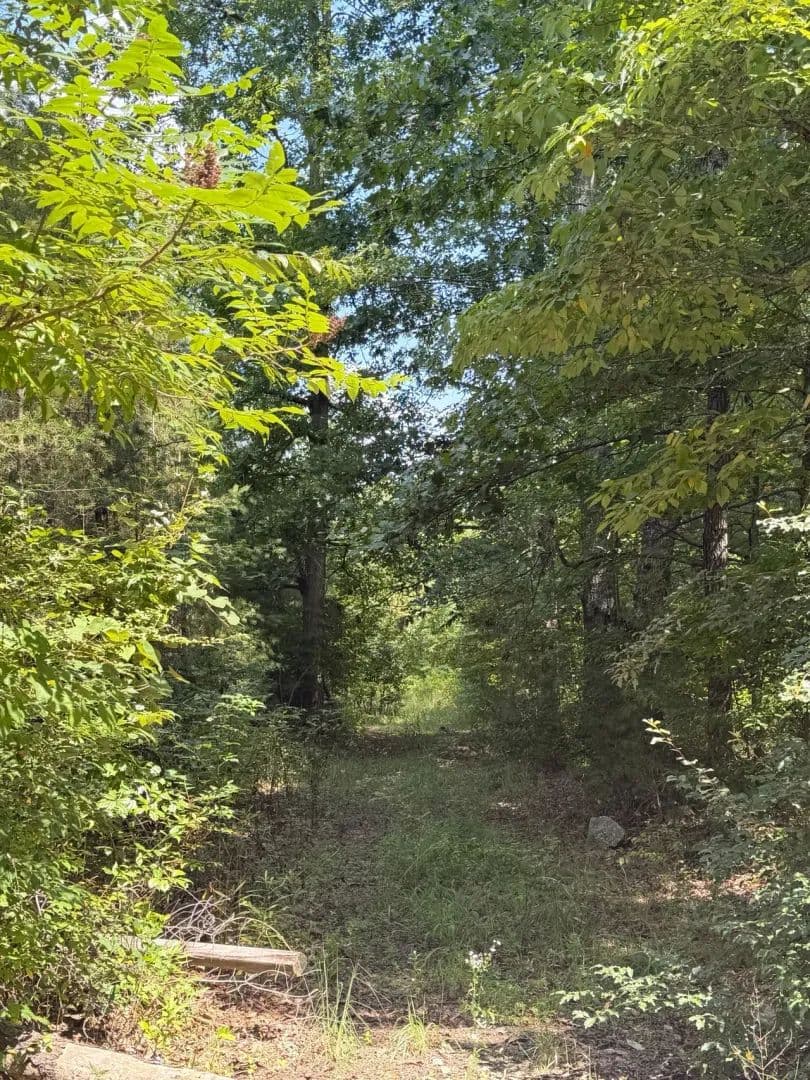 5.06+/-acres Unrestricted wooded tract located in Sequatchie TN. - Sequatchie, Tennessee, 37374