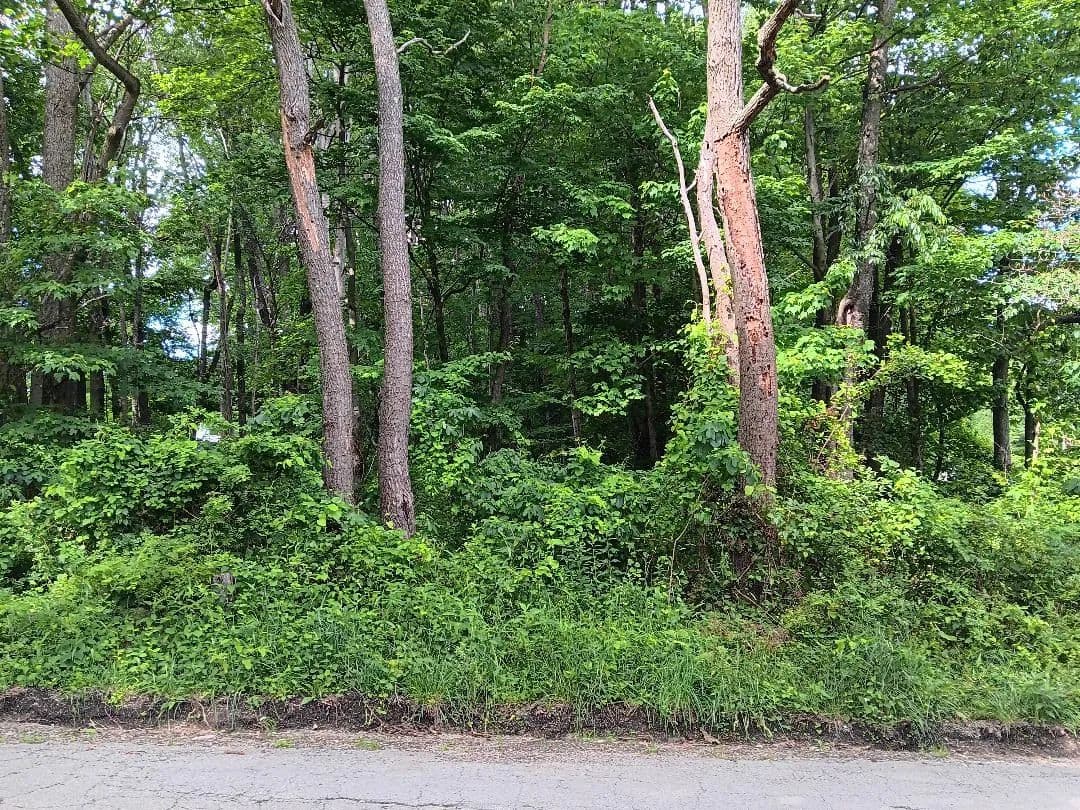 Vacant Land in White - White, Pennsylvania, 15490