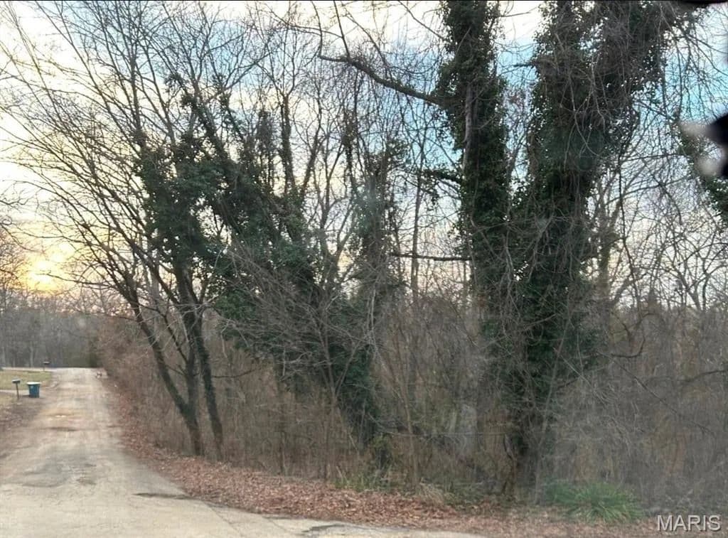 Lots & Land-Other in Irondale - Irondale, Missouri, 63648
