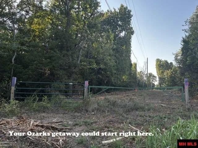 Lots & Land-Other in Oakland - Oakland, Arkansas, 72661