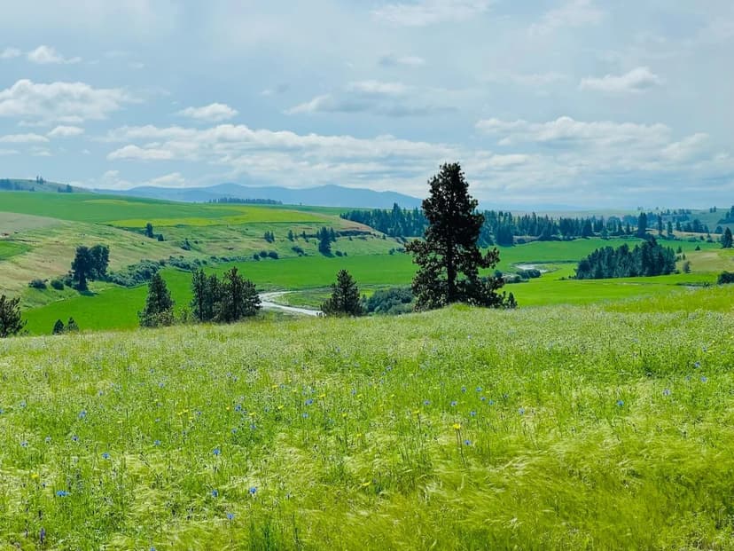 Property from 11900 Hays Rd - KW