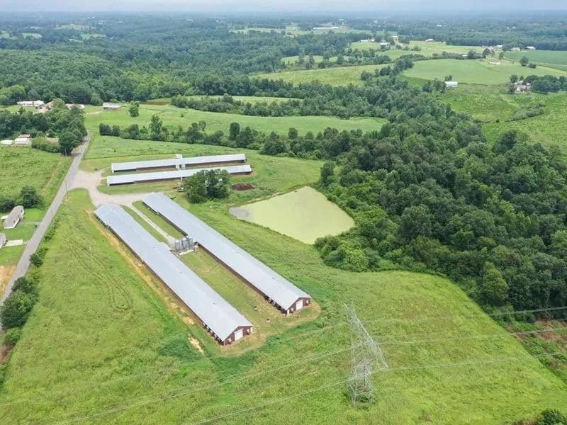 Hyline Broiler Farm – Four House Farm in Cullman County, Alabama - Holly Pond, Alabama, 35083