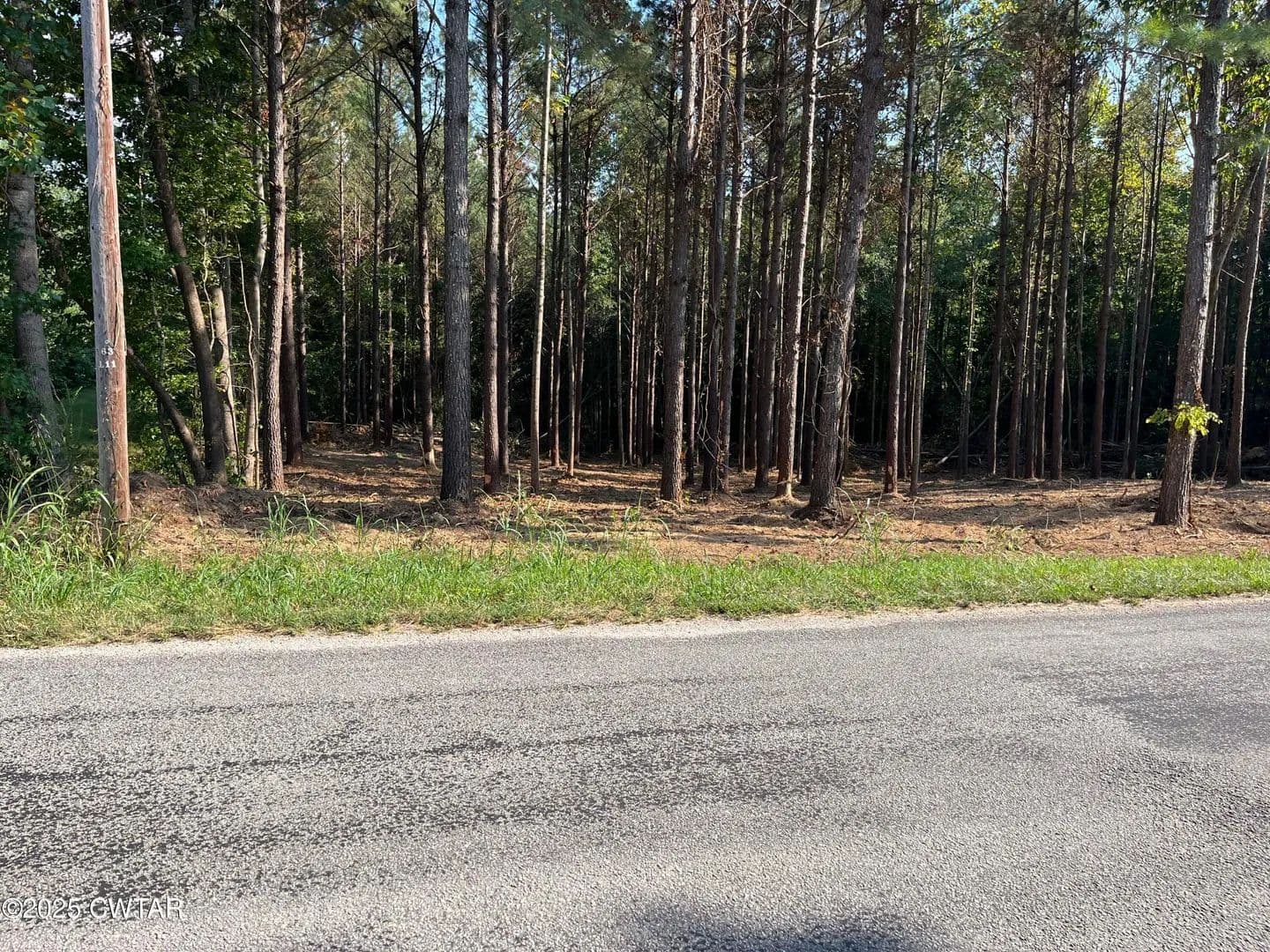 Lots & Land-Other in Lexington - Lexington, Tennessee, 38351
