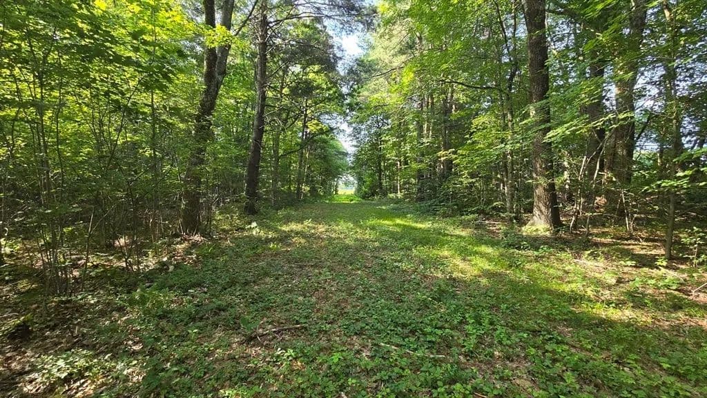 Vacant Land in Paxton - Paxton, Massachusetts, 01612