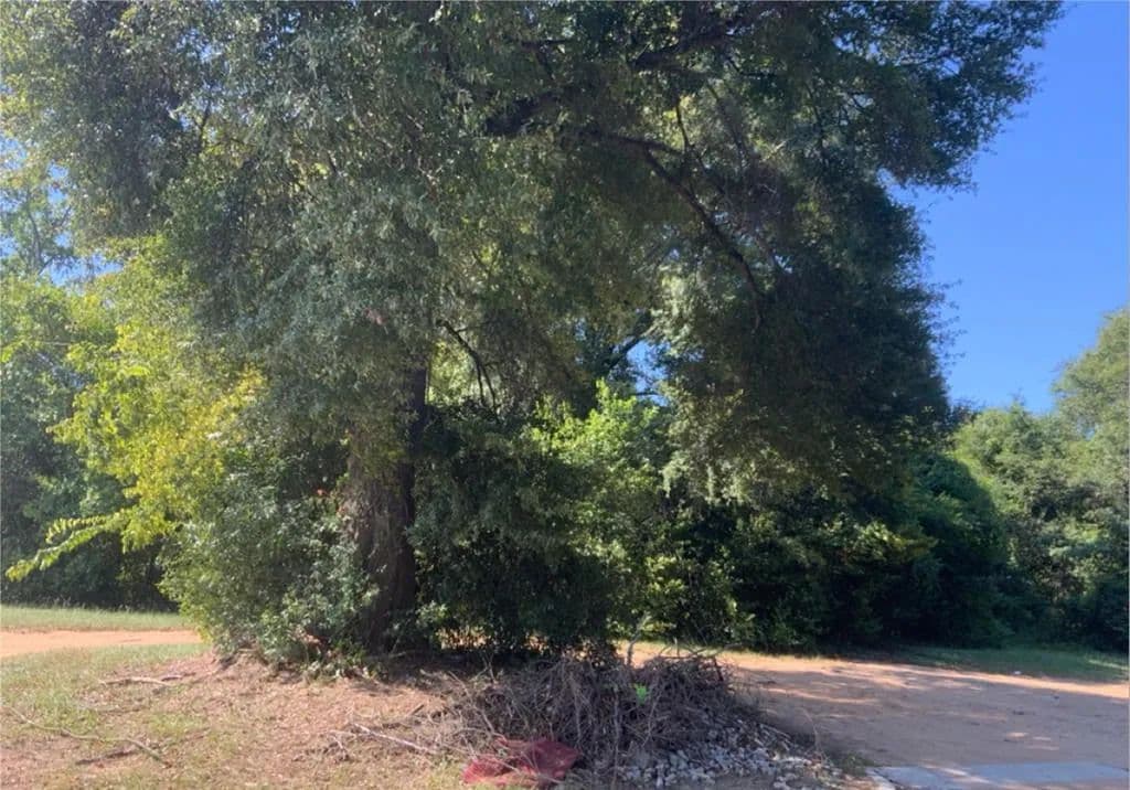 Vacant Land in Albany - Albany, Georgia, 31701