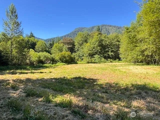Lots & Land-Other in Morton - Morton, Washington, 98356