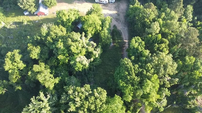 8 Acres with a Main Lodge and 3 Cabins in Claiborne County, MS 